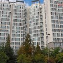 동탄공원로 이미지