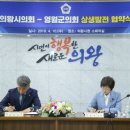 영월군의회 NSP통신