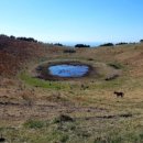 돌담이우다 펜션 이미지