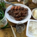 어린왕자의나무별 이미지