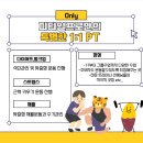 프로피티 이미지