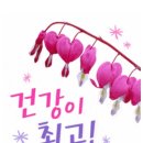 소요유 - 동구 용연길 8 | 소요유