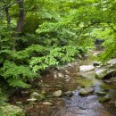 뽕나무펜션 이미지