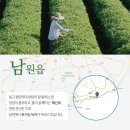 청정제주녹차 영농조합법인 이미지