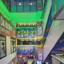 샤론화장품 | 일본 오키나와 국제거리 돈키호테 추천 쇼핑 리스트 (제니 엉덩이 비누, 샤론 동전 파스)