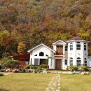 은행나무숲 주차장 부근 이미지