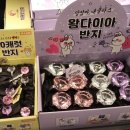 백마아트