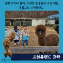 호저낚시터 | 강화 아이와 함께, 다양한 동물들의 교감 체험. 동물교감 프렌쥬랜드 강화 (프렌쥬랜드 시설정보)