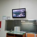 전북장애인복지수영장 이미지