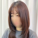 바움C 이미지