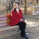 도봉-도봉-서울도봉-2335 이미지