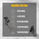 지티인터네셔널(주) 이미지