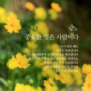 사랑으로 이미지