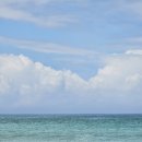 ECO모텔 | 물개와 함께 숨참고 러브 다이브_시드니 근교 나우마 (Narooma) 여행, 물개 스노쿨링과 다이빙