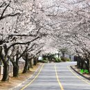 삼성전자서비스센터 주변도로 이미지