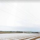 신도3리[서] 네이버블로그