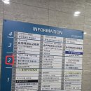 평화당한의원 | [청주] 23주 임산부 보약지은 후기~! "평화당 한의원" (내돈내산, 후기)