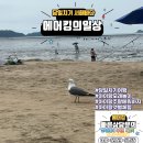 아이랑 모래놀이 갯벌체험 가능한 바다 대부도 방아머리 해변 당일치기여행