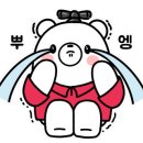 홍타코야끼 이미지