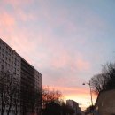 오르브와 이미지