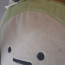 타이디 | 민락동왁싱 타이디왁싱에서 왁싱하고 온 후기