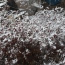 오지농장 이미지