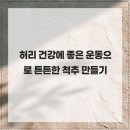 과천밸런스마취통증의학과의원 | 허리 건강에 좋은 운동으로 튼튼한 척추 만들기