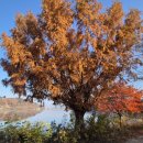 자율방범대 사무실 옆 이미지