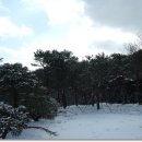 구룡산 정상 이미지