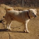 정순농장 이미지