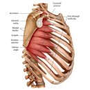 원트레이닝센터 이미지
