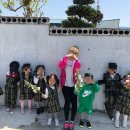 솔밭왓앤와이유치원 이미지