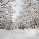 번영로R 이미지