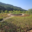 보은산V랜드 이미지