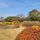 국화향기펜션 이미지