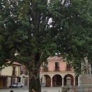 HOSTEL THE CAMINO 이미지