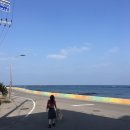 예림주유소 | 애정하는 1월 제주 (2)