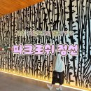 럭키탁구클럽 | 여행] 태교여행, 효도여행 파크로쉬 정선 총정리 - 아쿠아클럽, 웰니스클럽, 루프탑, 파크키친, 로쉬카페