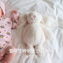 크림버니 | 젤리캣 애착인형, 바쉬풀크림버니M 공홈 구매후기(+젤리캣 세탁방법)