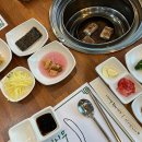 원주 장어 맛집 자작나무장어 장어구이 양념구이 후기