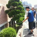 대우여관 이미지