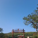 김포시청-장릉입구 | 조선 왕실의 숨결을 느끼다. 김포 장릉 방문 후기