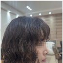 봄날,헤어 이미지