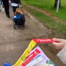 자라섬째즈길 | 자라섬재즈페스티벌 후기 및 준비물부터 꿀팁까지