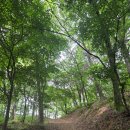 초록산 산림욕장 1 | 화성시 등산초보 한시간 코스