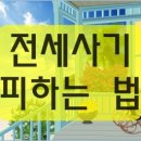 전세사기 피하는 방법 이미지