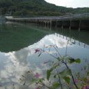 마치세월교 이미지