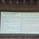 의령 세간리 은행나무 이미지