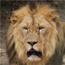 서울대공원 이미지