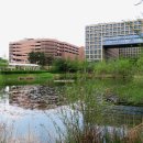 풍산지구3호공원 이미지